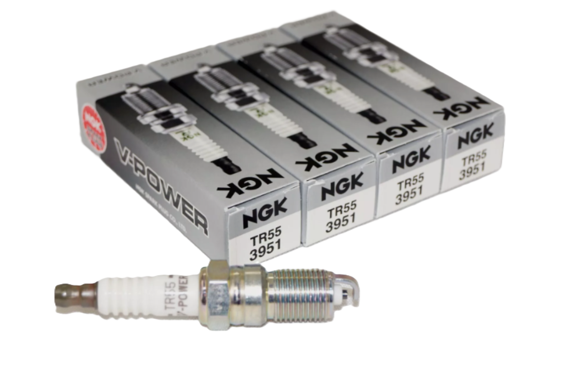 Spark Plugs NGK 3951/TR55( Set of 4)