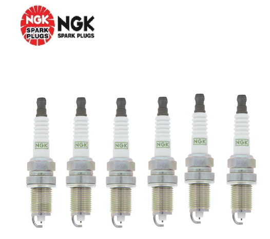 Spark Plugs NGK 3951/TR55 ( Set of 6)