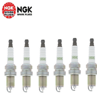 Spark Plugs NGK 3951/TR55 ( Set of 6)