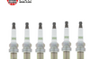 Spark Plugs NGK 3951/TR55 ( Set of 6)